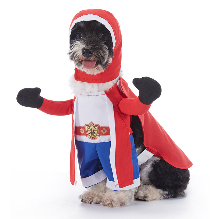 Spooky Pup Outfits