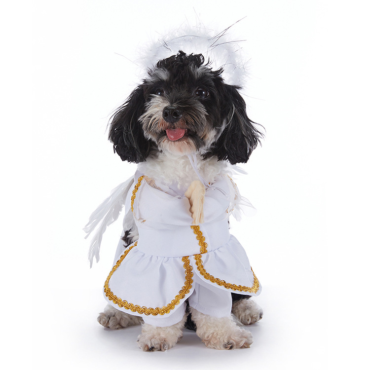Spooky Pup Outfits