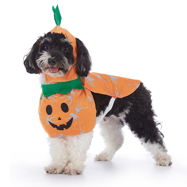 Spooky Pup Outfits