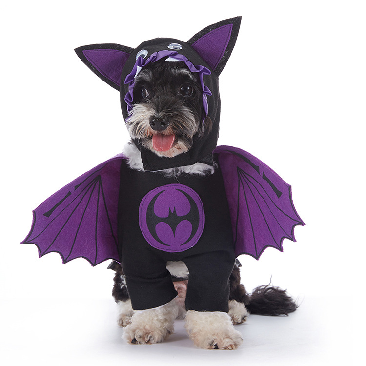 Spooky Pup Outfits