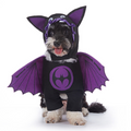 Spooky Pup Outfits